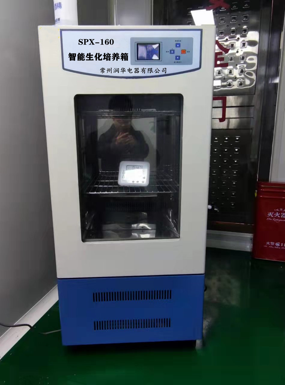 SPX-160生化培养箱 厂家直销 优质生化培养箱批发 质量好 值得信赖